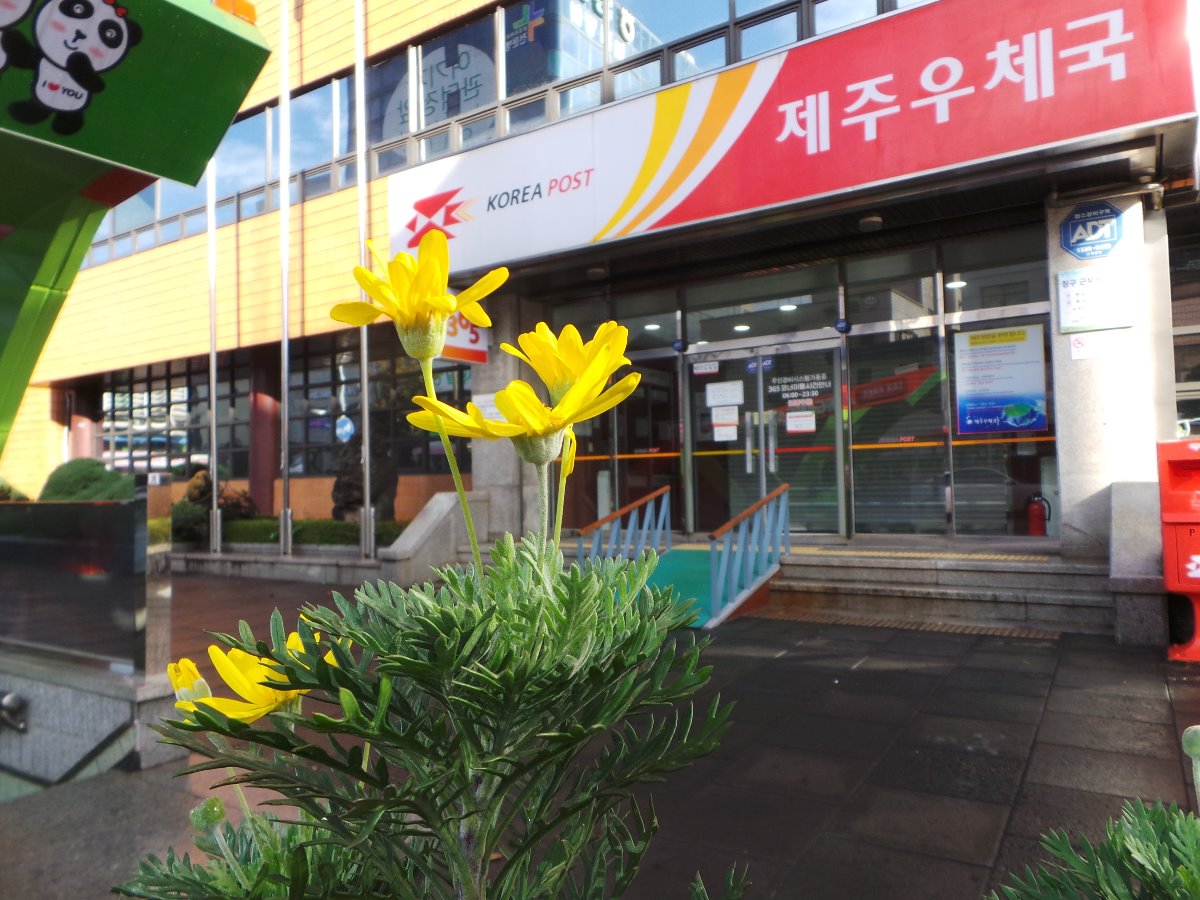 칠성통 제주우체국 입니다
