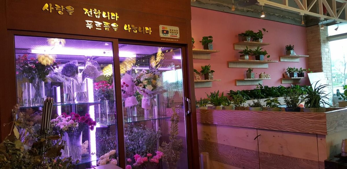 플로베 내부 꽃 입니다