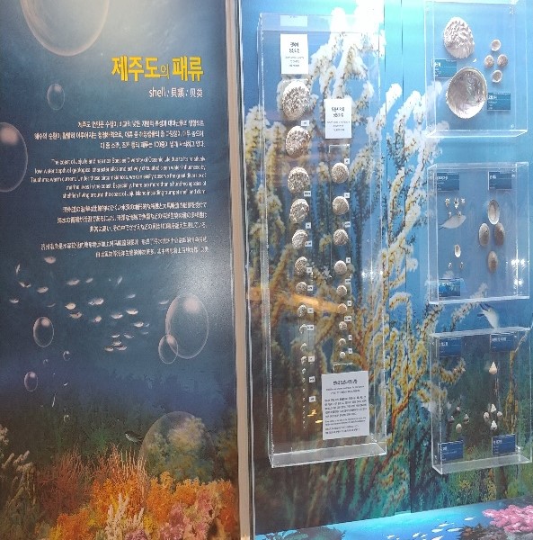 전시품입니다.(4)