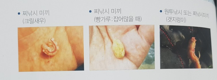 찌낚시미끼 사진입니다