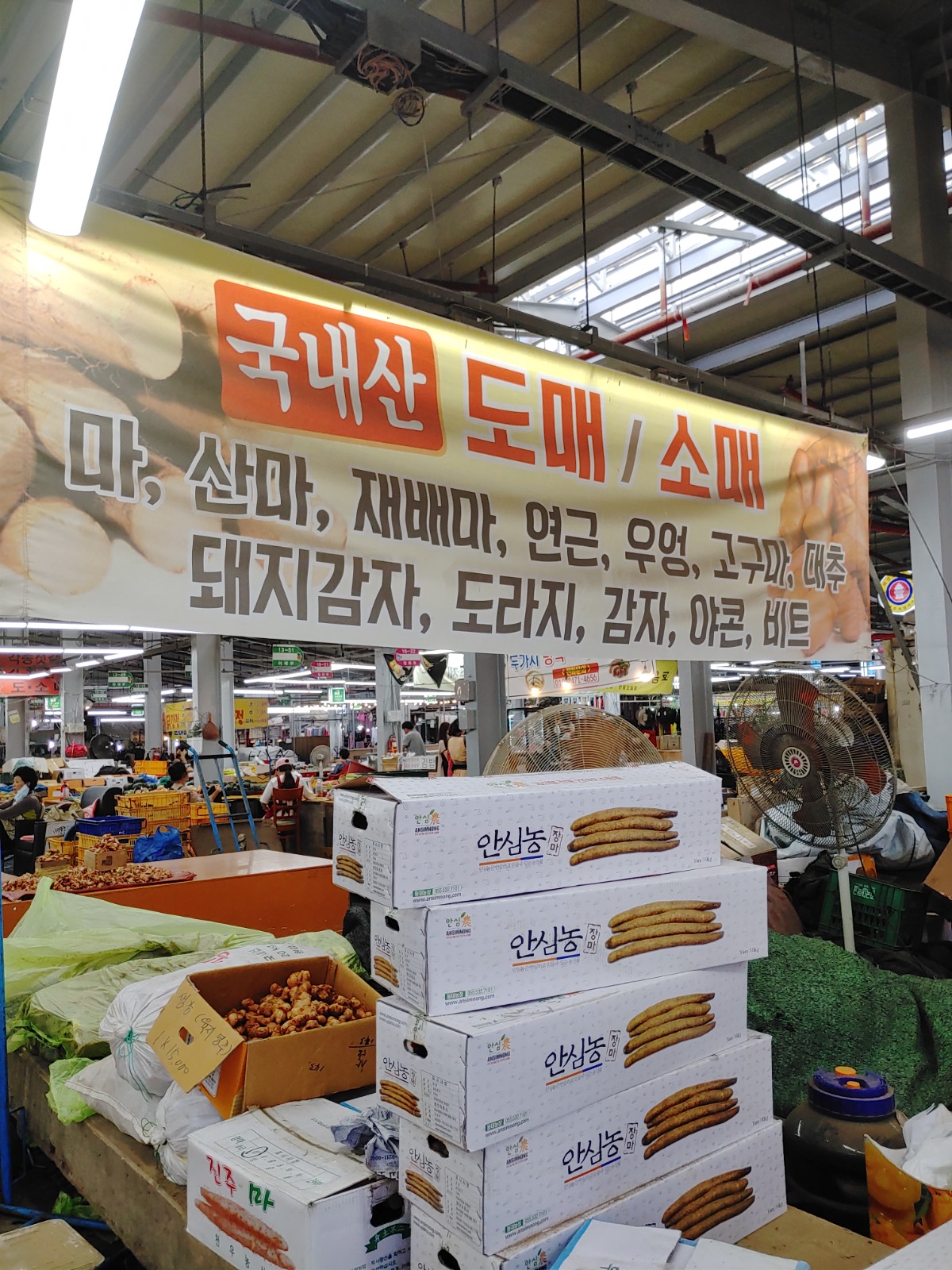국내산 약재, 약초 도소매점 사진입니다