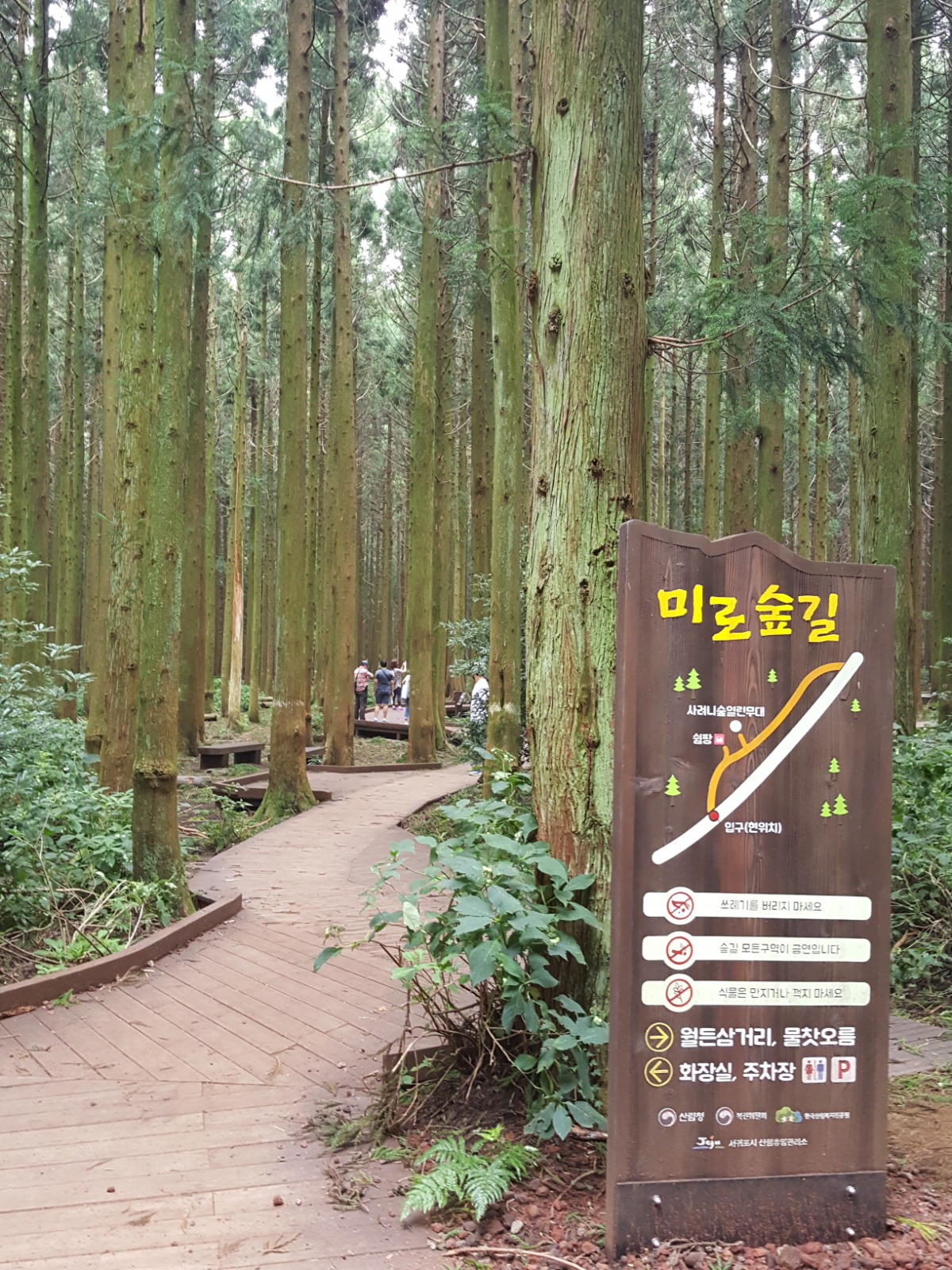 미로숲길 이식 표지판 사진입니다.