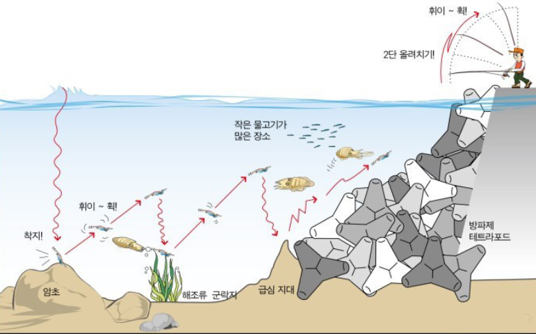 무늬오징어 낚시방법을 알려주는 그림입니다