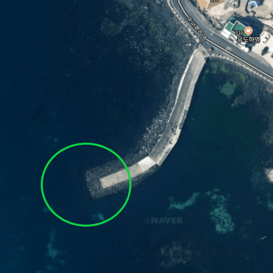 전흘동 포구 포인트 위성지도 사진 입니다. 포구 끝부분이 포인트로 동그라미 표시 되어있습니다.