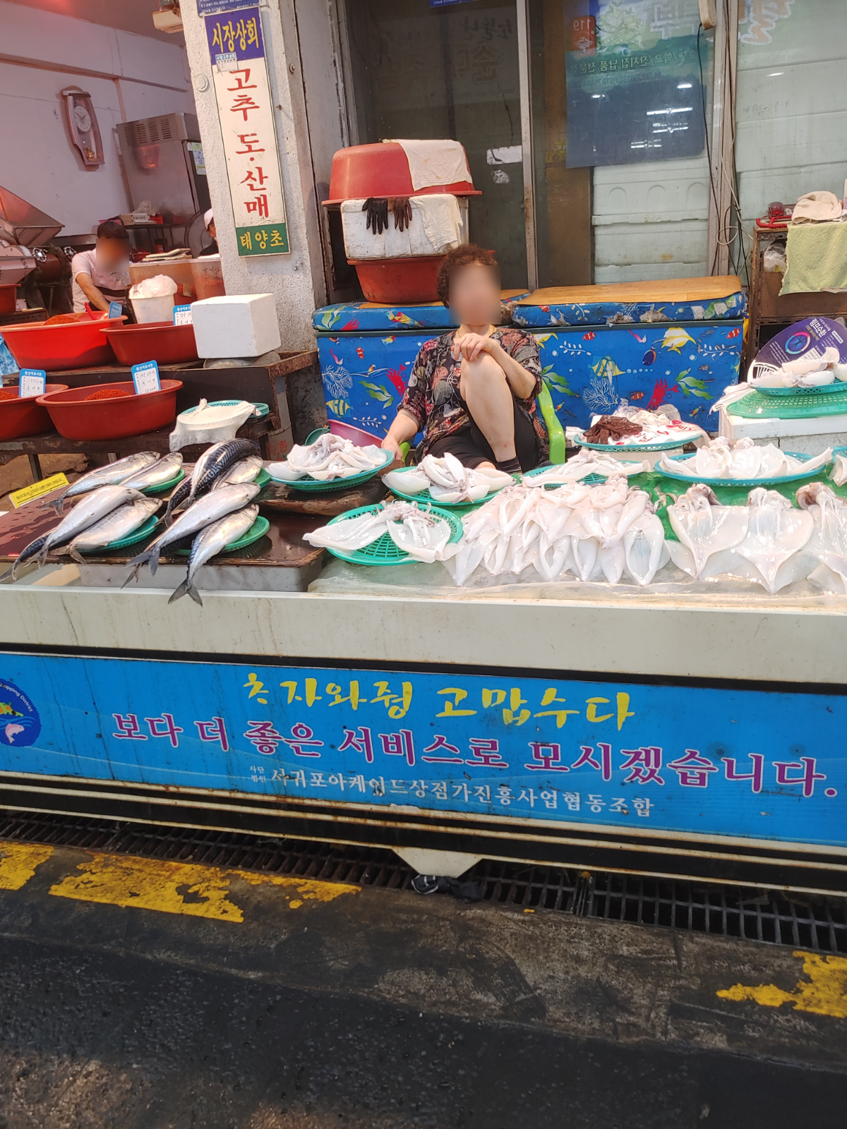 수산코너사진입니다. 아주머니 한분이 앉아서 고등어, 한치를 진열 판매하고 있습니다.