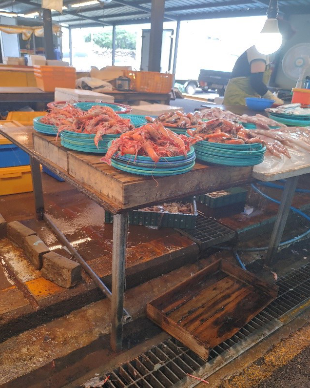 수산코너 사진입니다. 딱새우를 진열 판매 중입니다.