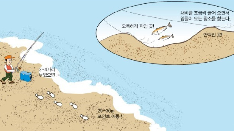 보리멸 낚시방법입니다