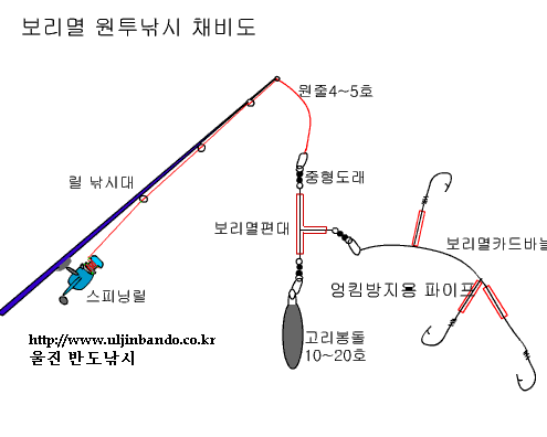 보리멸 채비 설명을 그림으로 했습니다.