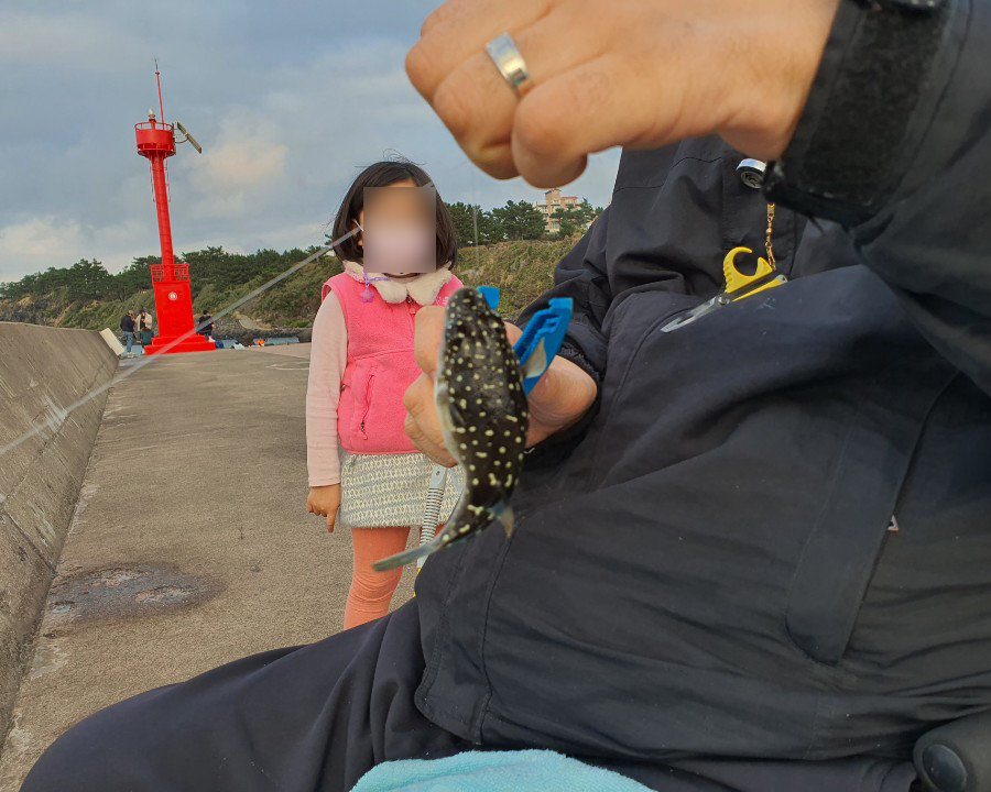 딸이 낚시바늘에 걸려있는 복어치어를 보고 있습니다.