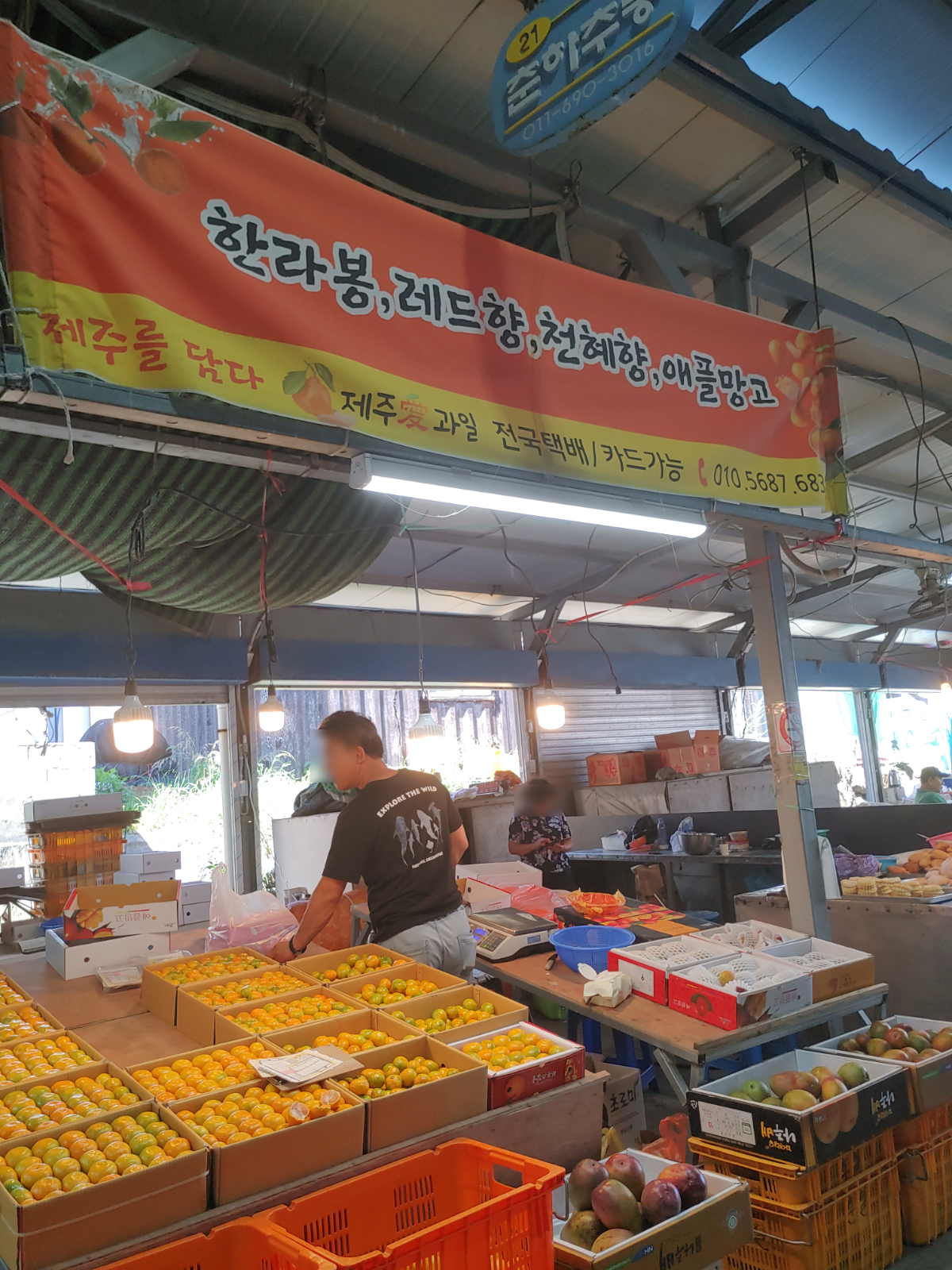 과일코너에서 한라봉,레드향,천혜향,애플망고 등을 판매하고 있습니다.