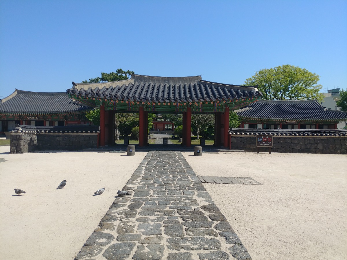 제주목관아의 정면 입구 사진입니다. 돌로 된 울퉁불퉁한 길과 양옆에는 흙으로 되어있습니다 돌로 된 길 위에 비둘기 한마리가 앉아있습니다.