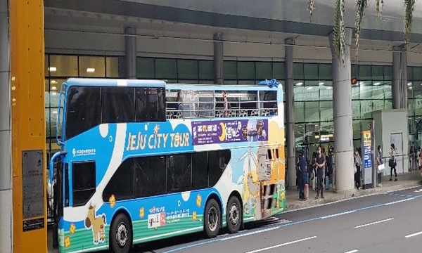 제주 도심 속 야간 여행 게시글 섬네일 이미지