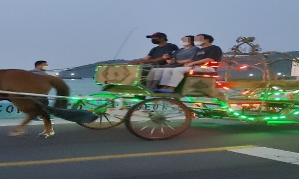 마차를 타는 사람들 사진입니다.