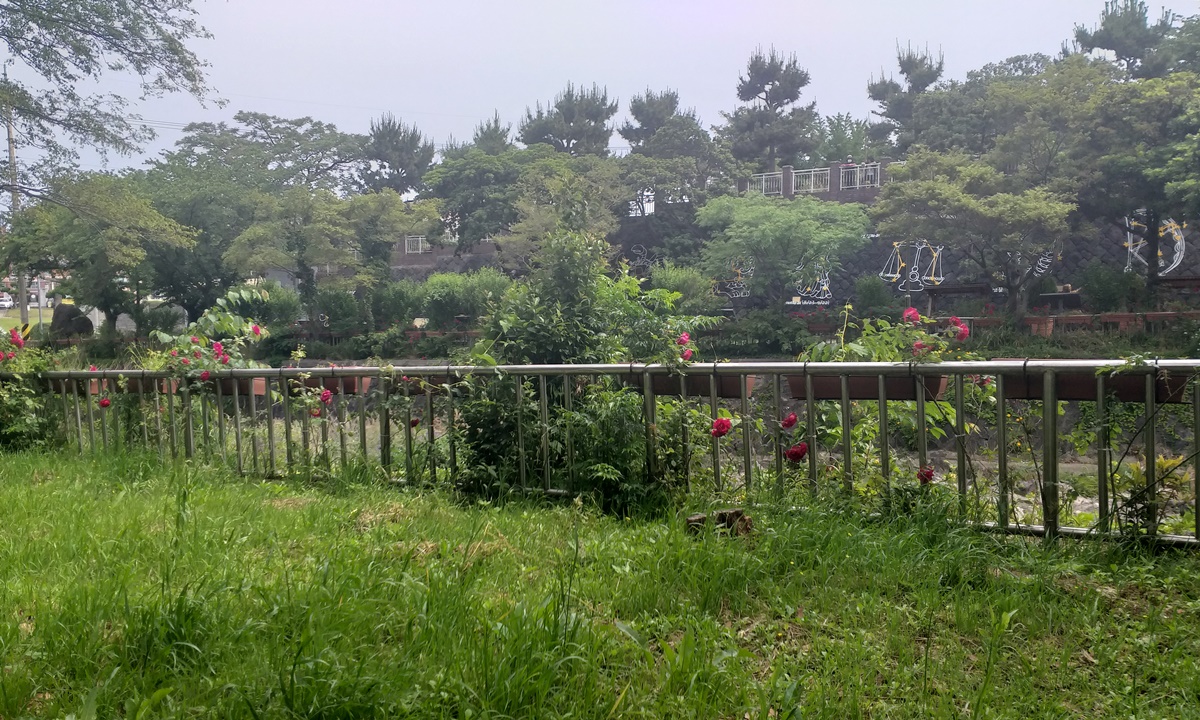 하천 게시글 섬네일 이미지