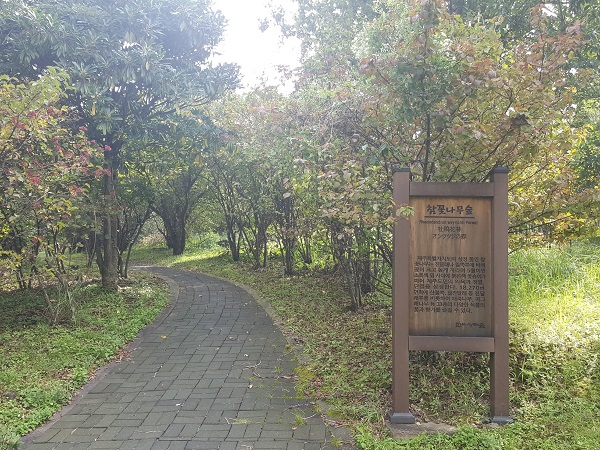 한라생태숲 게시글 섬네일 이미지