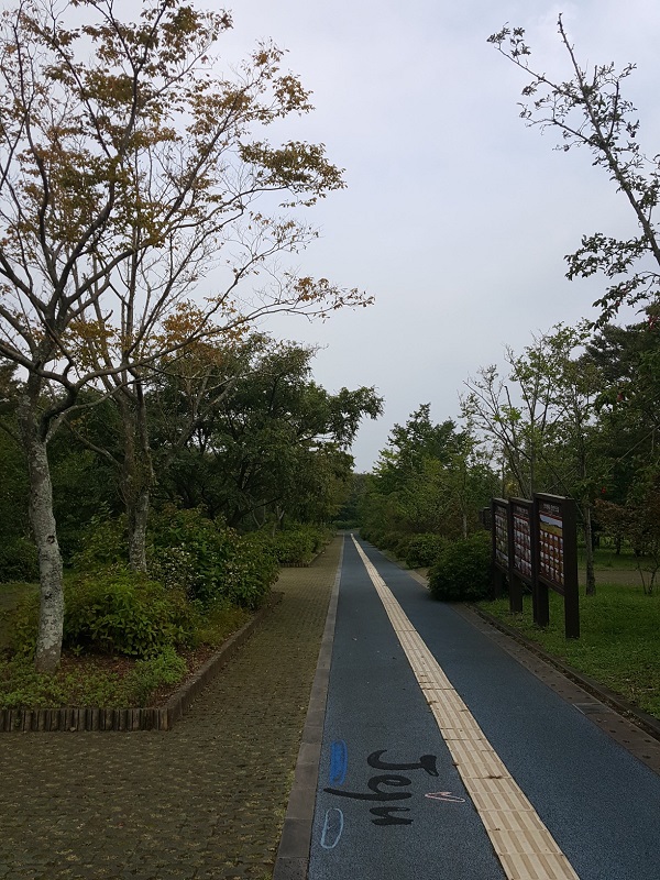 산책로 사진입니다. 점자블럭이 설치되어있습니다.