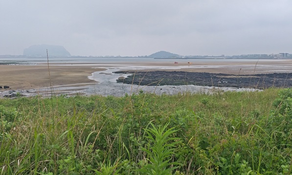 모래사장과 바다, 그 너머 일출봉이 보입니다.