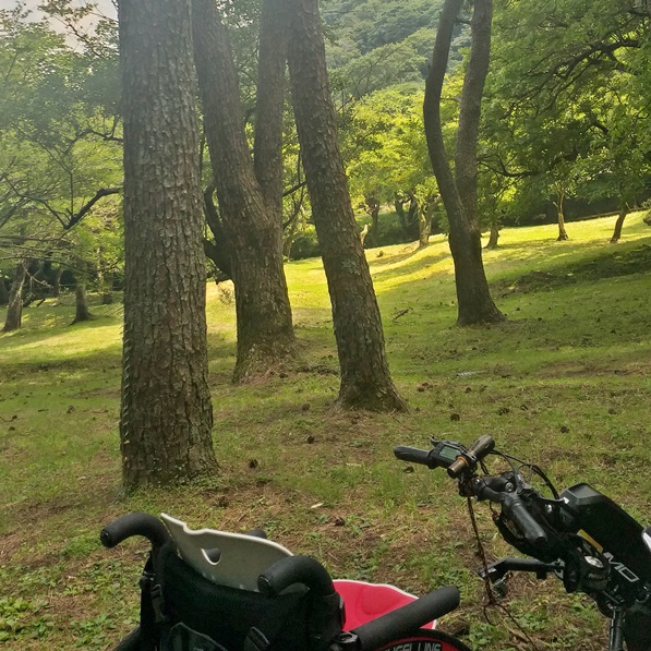 전동스쿠터 사진입니다.