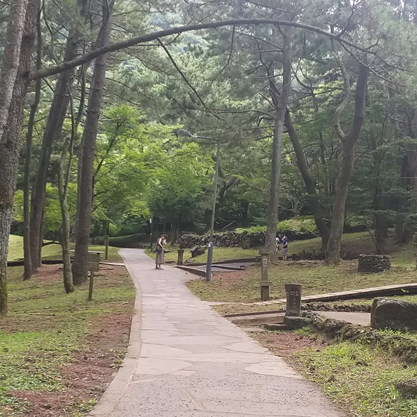 절물자연휴양림 산책로입니다. 산책로는 돌바닥으로 휠체어 사용자도 이동 가능하며, 산책로 옆으로는 잔디입니다.