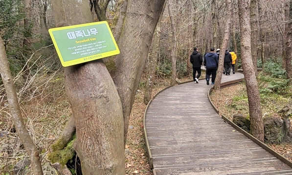무장애나눔길 때죽나무 안내설명입니다.