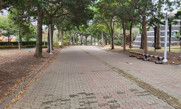 신산공원 산책로 사진입니다.