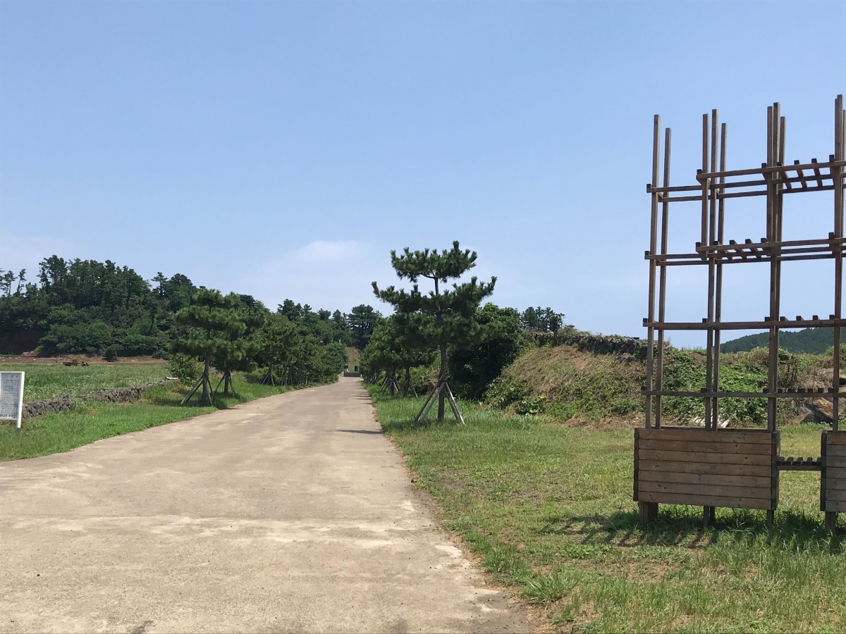 섯알오름 학살터 접근로 사진입니다. 평탄한 길 양옆으로 잔디밭이 있습니다.