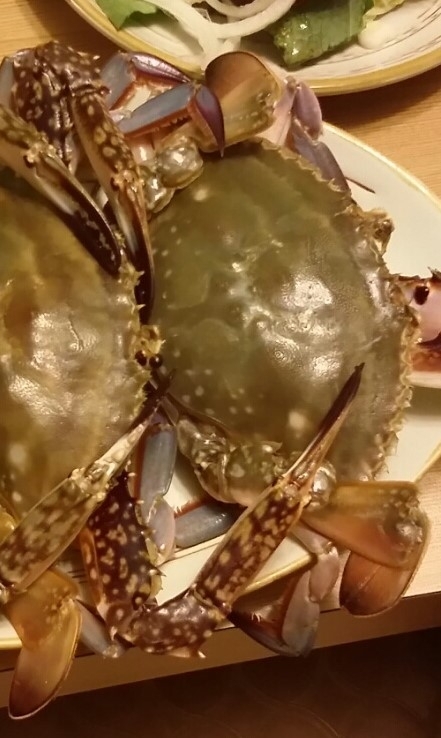 걍명선샤브샤브 꽃게 입니다