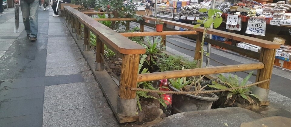 서귀포매일올레시장 거리 화분 입니다