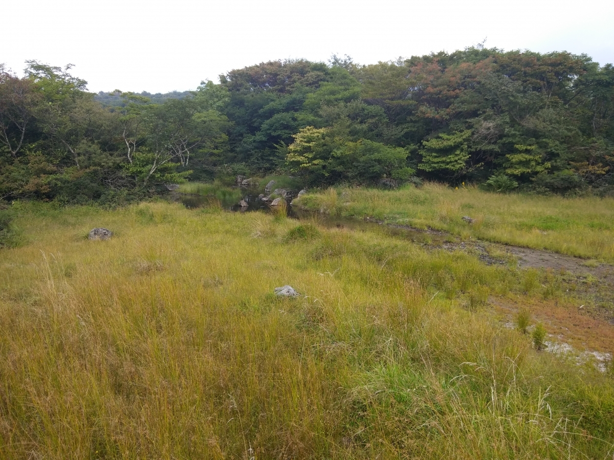 1100고지 습지 (명상) 게시글 섬네일 이미지