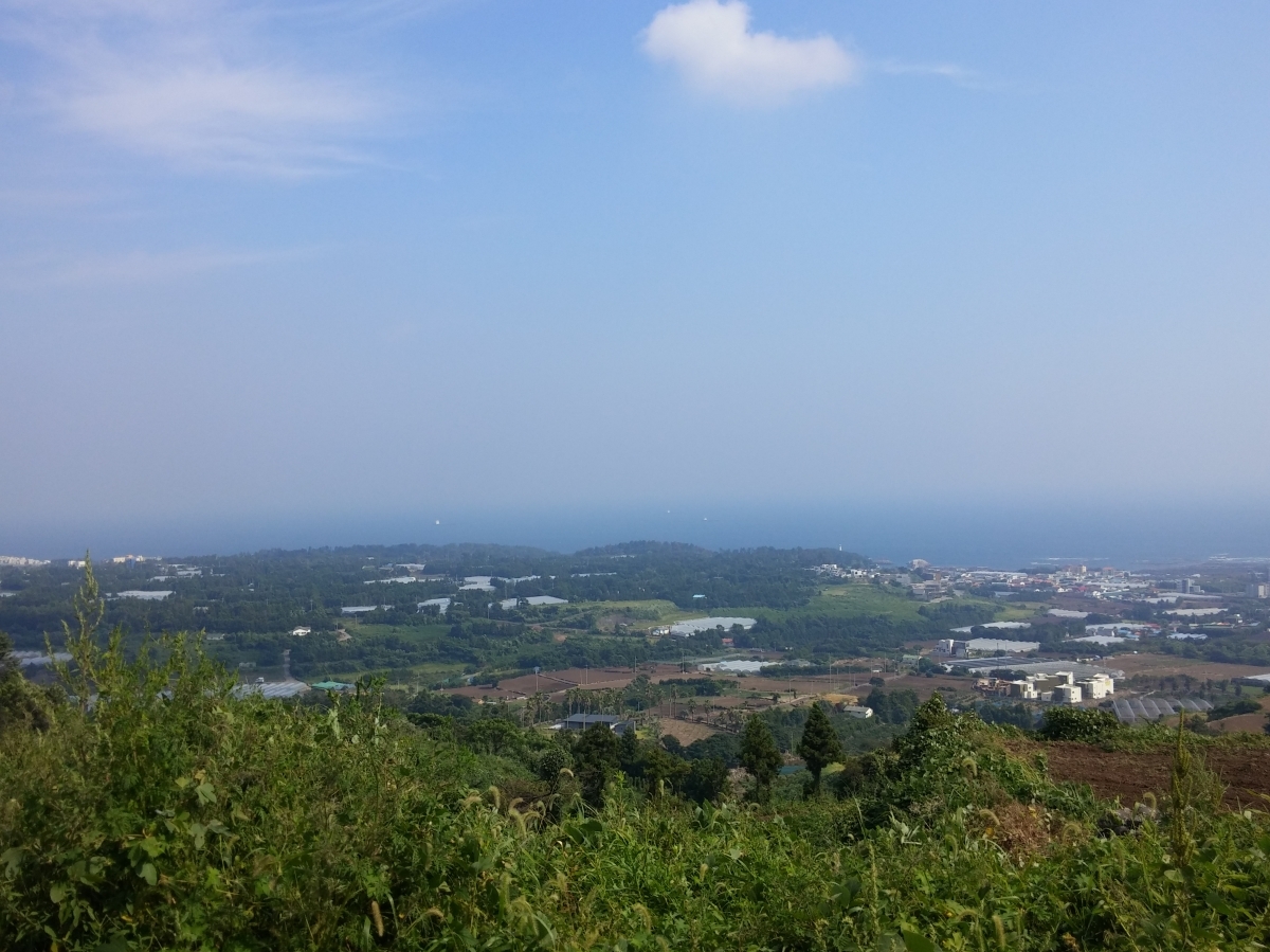 군산오름 (명상) 게시글 섬네일 이미지