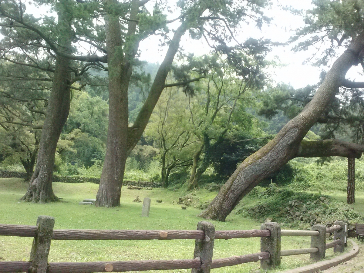 산천단 풍경 입니다 (2)