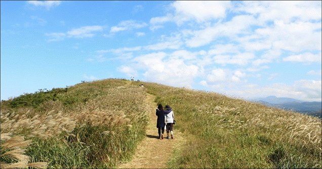 산굼부리 게시글 섬네일 이미지
