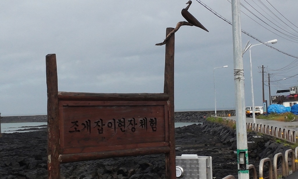 애월 한림 해안도로 조개잡이현장체험 안내판 입니다