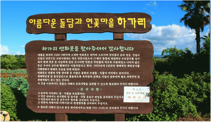 연꽃마을 연화지 안내판 입니다
