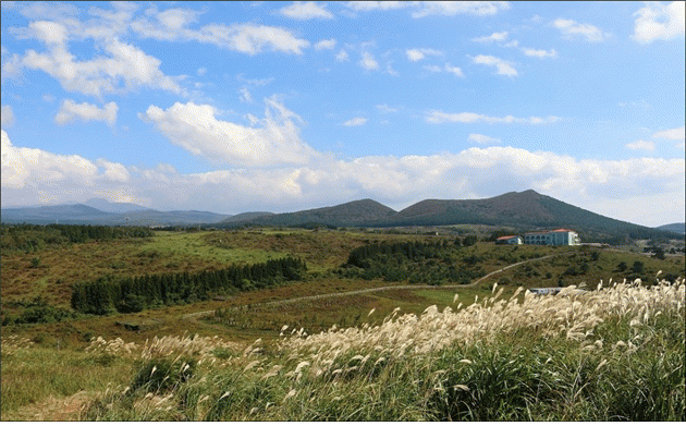 산굼부리 전경 입니다