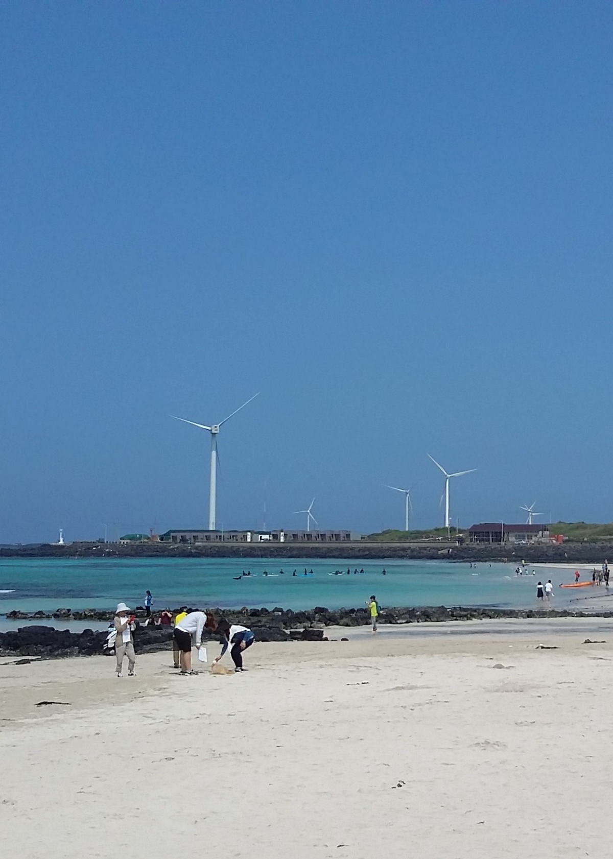 월정리 해안 (드라이빙 JEJU) 게시글 섬네일 이미지