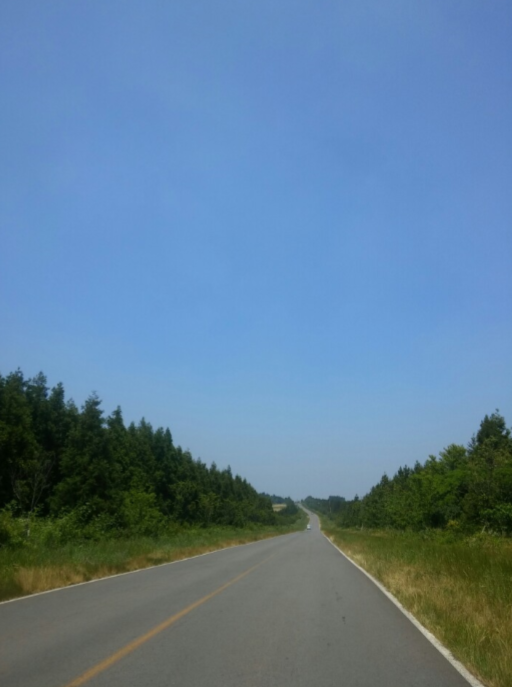 쓸쓸한도로입니다.