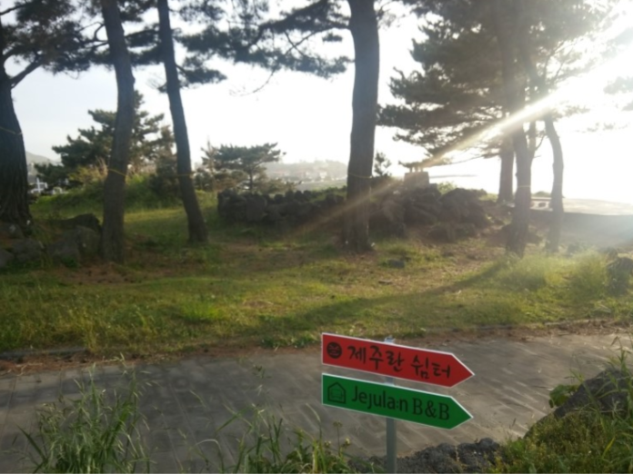 숲길입니다.