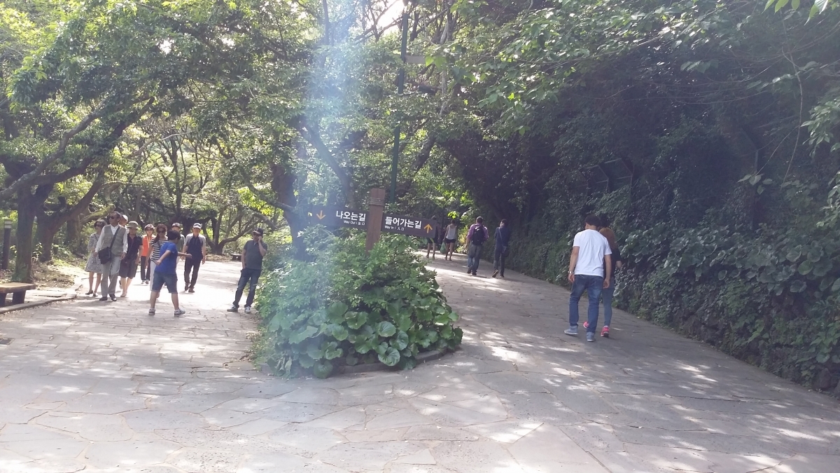 천지연폭포 산책로 입니다