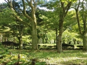한라수목원 내 사진입니다.