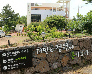 거인이 사는 정원? 게시글 섬네일 이미지